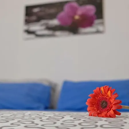 Via Crispi Guest house